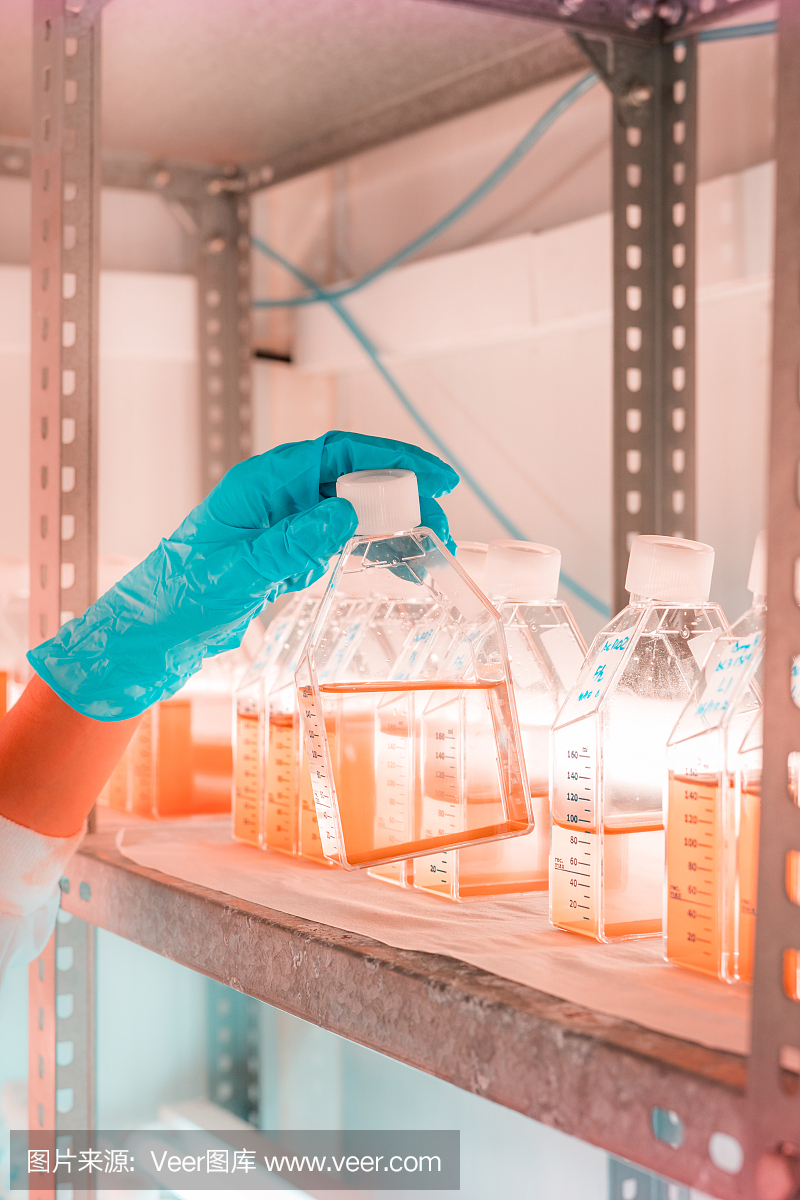 在生物技术实验室工作的女性科学家,有反应器和微藻培养